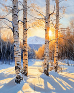 Rays of Light