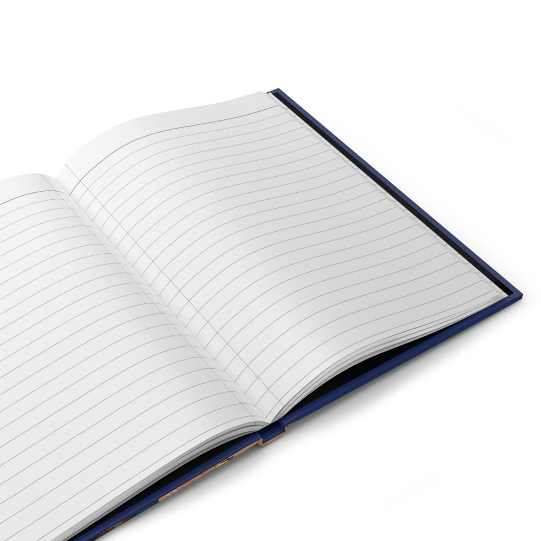 True Blue_journal