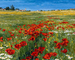 Poppies
