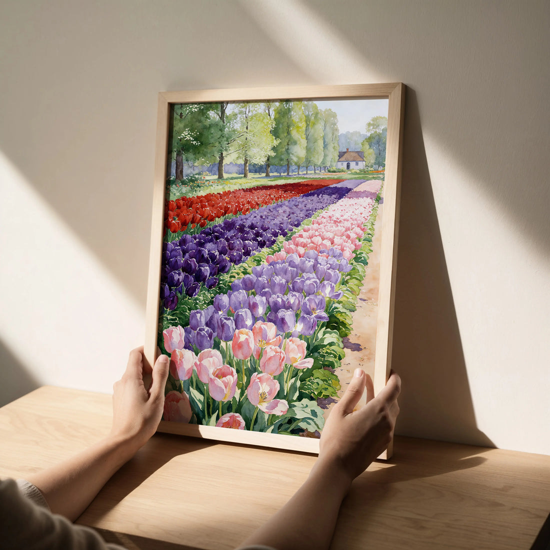 Tulip Garden