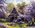 Lilac II