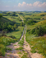 Nebraska