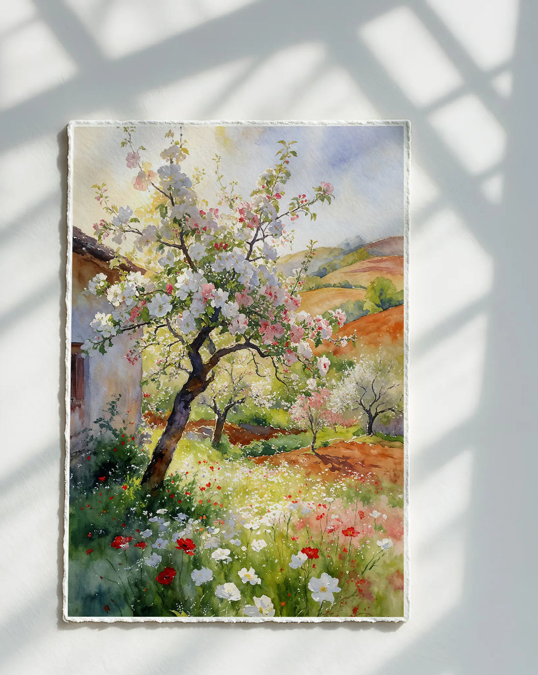 Apple Orchard...